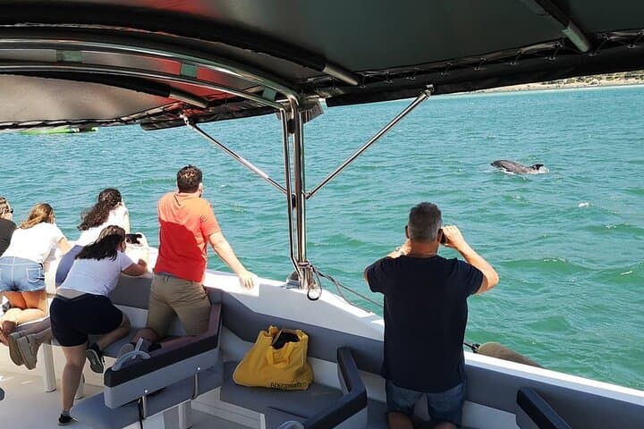 Setúbal Dolphin Watching: Sado Estuary Boat Tour & Wildlife Cruise photo 3
