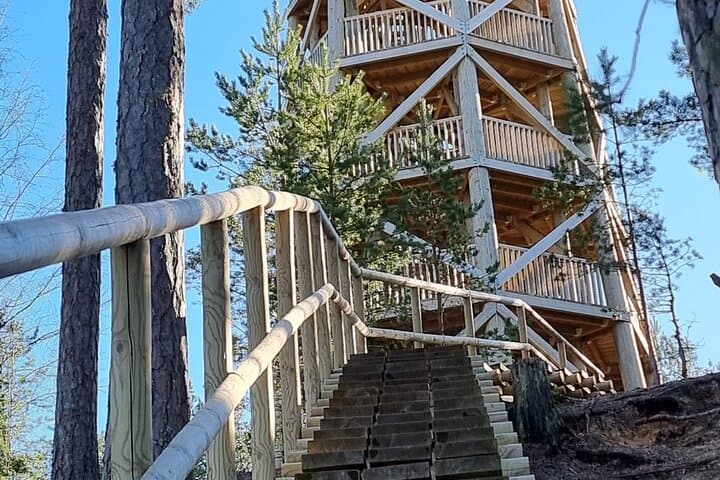 Lahemaa One-Day Nature Loop: Viru Bog, Beaver Trails & Juminda Peninsula photo 3