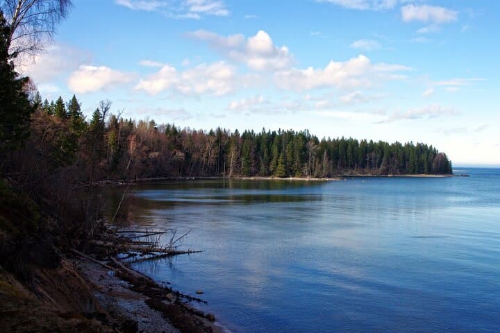 Lahemaa One-Day Nature Loop: Viru Bog, Beaver Trails & Juminda Peninsula photo 4