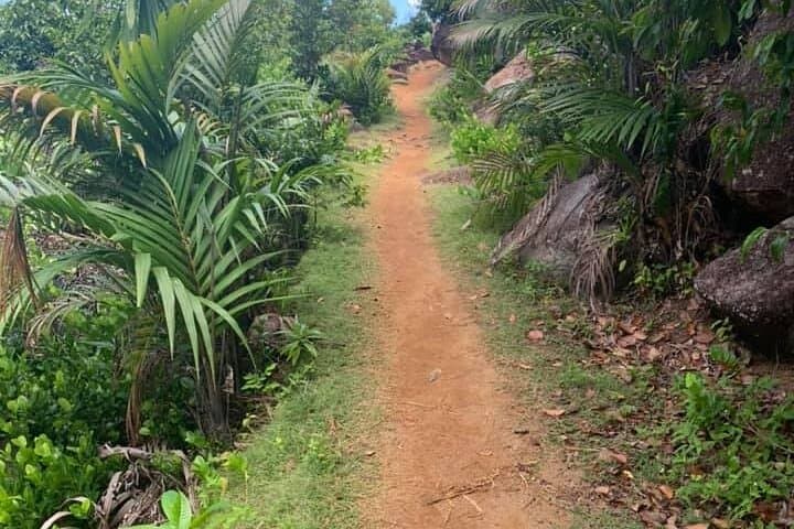 Anse Major Relaxed Hike — Private Guided Coastal Walk & Beach Snorkel on Mahé photo 4