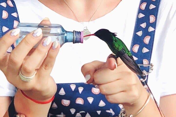 Rockland Bird Sanctuary: Montego Bay's Hands-On Birding Experience photo 2
