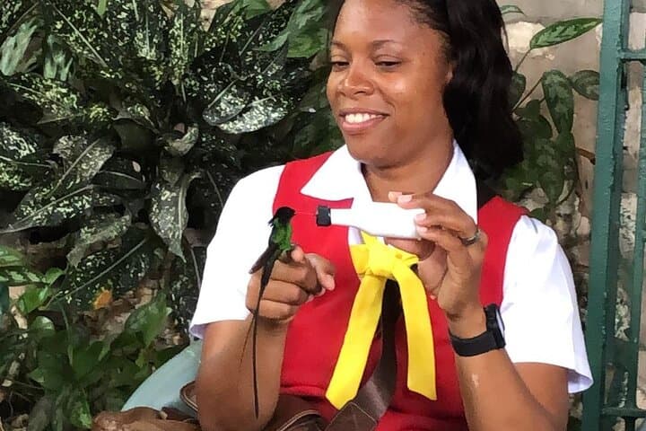 Rockland Bird Sanctuary: Montego Bay's Hands-On Birding Experience photo 4