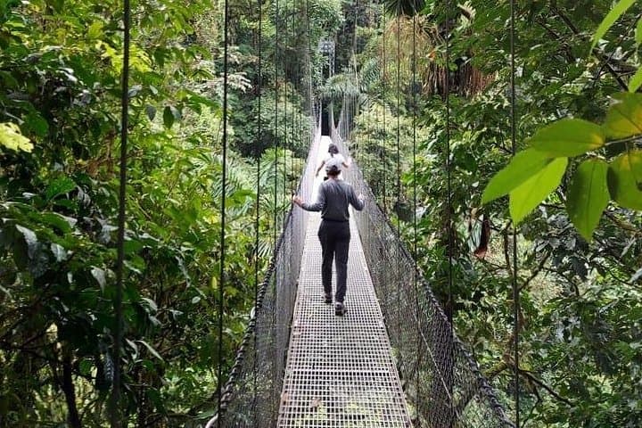 Private Hanging Bridges & La Fortuna Waterfall Day Tour with Costa Rican Lunch photo 2