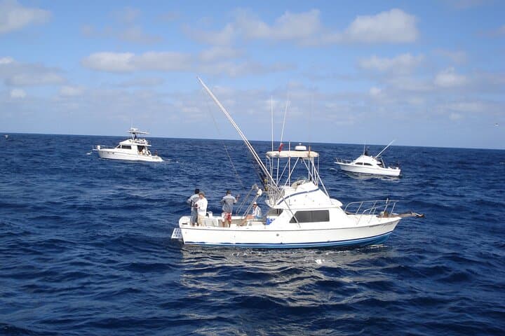 Private Pleasure Trip 31‑ft Boat in Cabo San Lucas — Snorkel, Sunset & Whale Watching