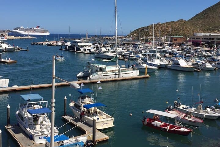 Private Pleasure Trip 31‑ft Boat in Cabo San Lucas — Snorkel, Sunset & Whale Watching photo 5