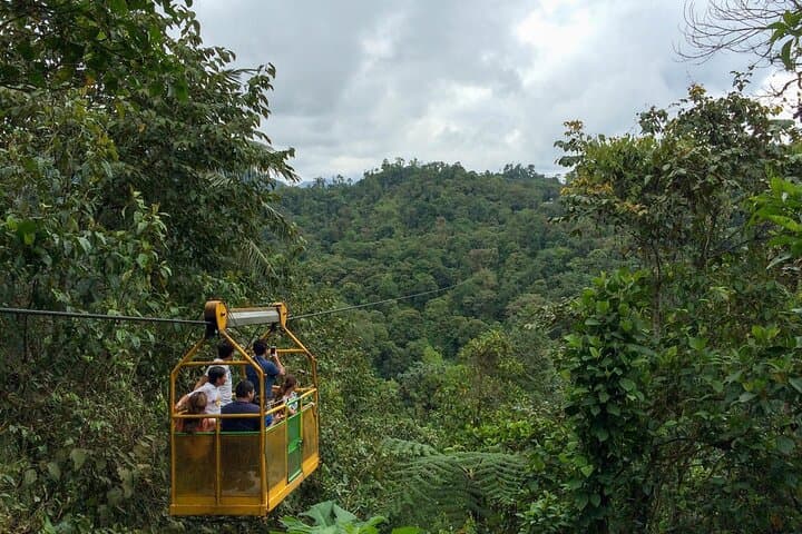 Mindo Cloud Forest Day Tour — Zipline, Waterfalls & Birding from Quito photo 6