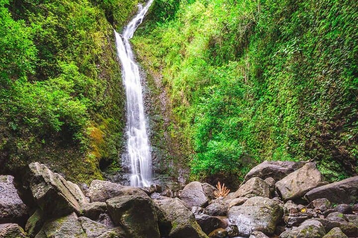 Manoa Falls Hike: Self-Guided Nature Walk to Oahu's Tallest Accessible Waterfall