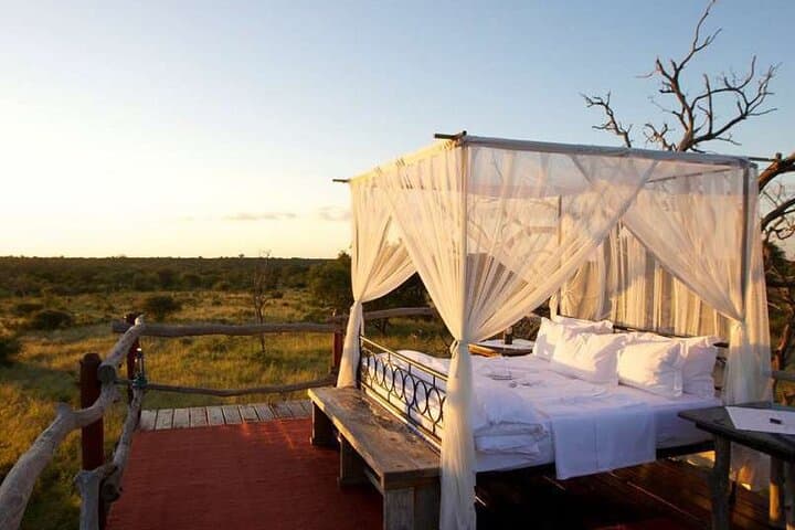 4-Day Kapama Safari & Panorama Route: Private Greater Kruger Game Lodge Experience photo 5