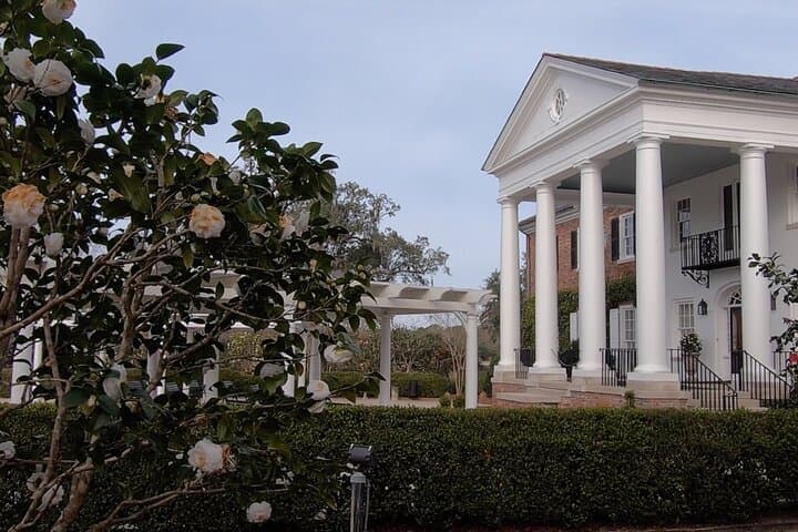 Complete Charleston Day Trip: Fort Sumter, Carriage Tour, Harbor Cruise & Boone Hall photo 4