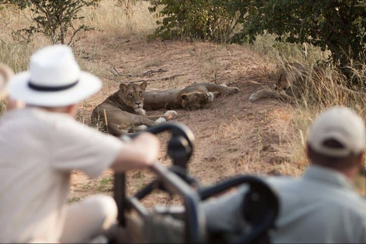 4-Day Kapama Safari & Panorama Route: Private Greater Kruger Game Lodge Experience photo 6