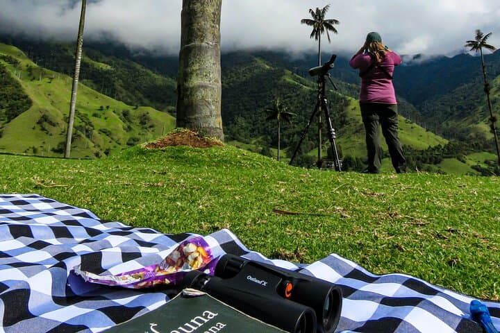 Cocora Valley Birding & Hike: Wax Palms, Cloud Forest & Hummingbirds photo 2