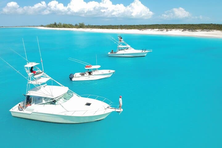 Half-Day Private Deep-Sea Fishing Aboard Angler Management — Turks & Caicos photo 2