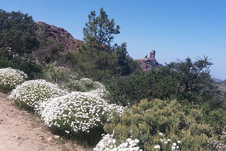 Hike Roque Nublo: Gran Canaria's Iconic Monolith and Central Cumbre Trek photo 2