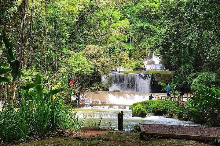 YS Falls Private Tour from Montego Bay — Waterfalls, Zipline & River Pools photo 2