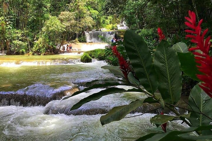 YS Falls Private Tour from Montego Bay — Waterfalls, Zipline & River Pools photo 3