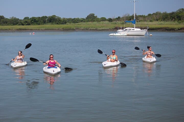 Cape May 2-Hour Kayak Rental: Paddle the Salt Marsh & Osprey Habitat
