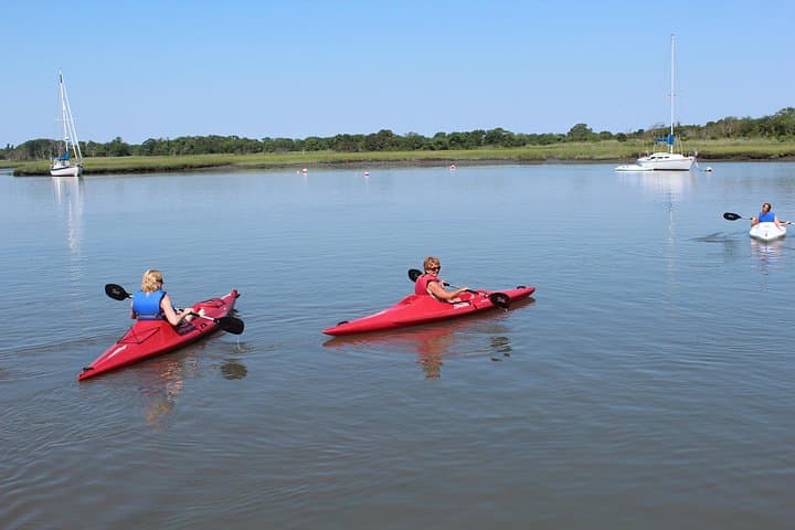 Cape May 2-Hour Kayak Rental: Paddle the Salt Marsh & Osprey Habitat photo 3