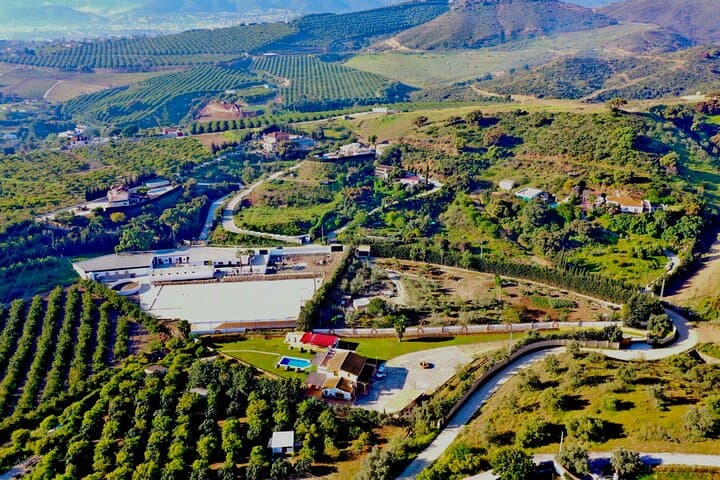 Guided Horseback Riding in Malaga: 1-Hour Equestrian Trail at El Roble photo 6
