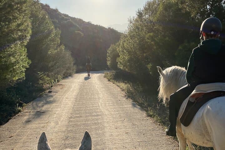 Guided Horseback Riding in Malaga: 1-Hour Equestrian Trail at El Roble