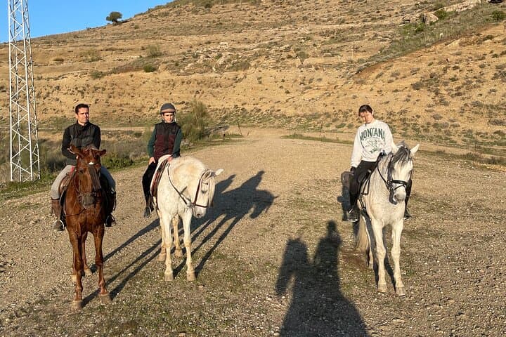 Guided Horseback Riding in Malaga: 1-Hour Equestrian Trail at El Roble photo 3