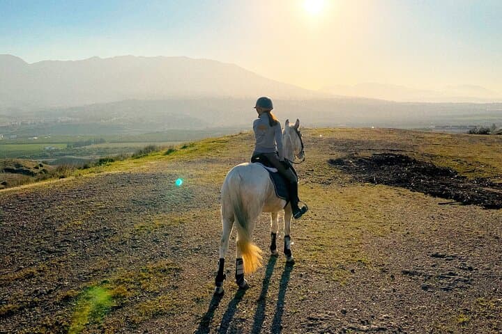 Guided Horseback Riding in Malaga: 1-Hour Equestrian Trail at El Roble photo 4