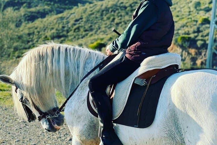Guided Horseback Riding in Malaga: 1-Hour Equestrian Trail at El Roble photo 5