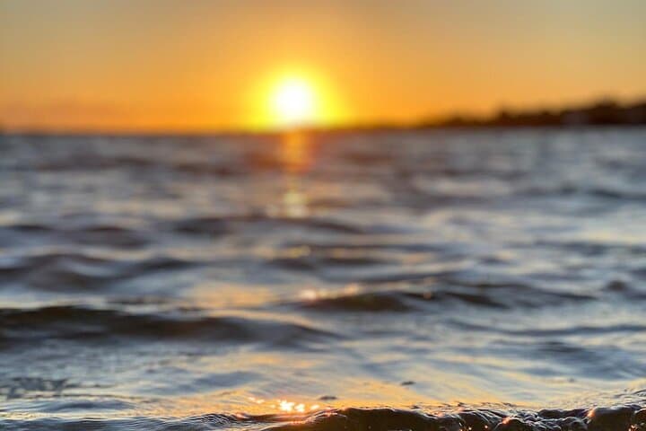 Sunset Boat Trip through Ria Formosa & Culatra Island photo 4
