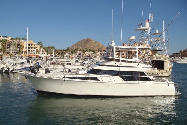 Private Yacht Snorkel, Sunset & Whale Watching — Cabo San Lucas Private Charters