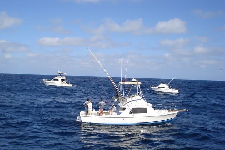 Private Yacht Snorkel, Sunset & Whale Watching — Cabo San Lucas Private Charters photo 6