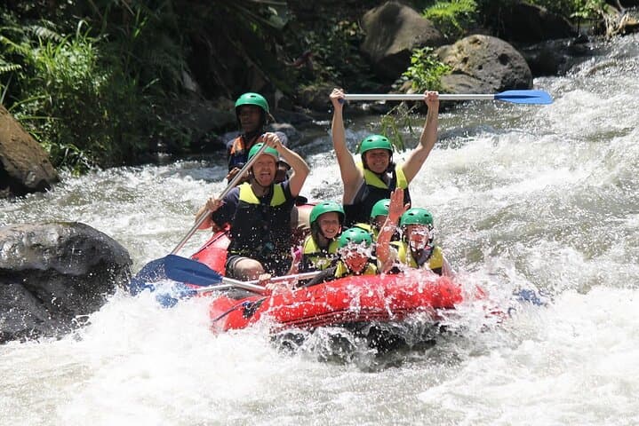Full-Day Private Ayung River Rafting and Ubud City Tour