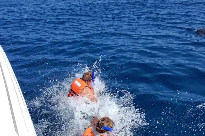 Swim with Whale Sharks: Isla Mujeres & Cancun Snorkel Adventure photo 4