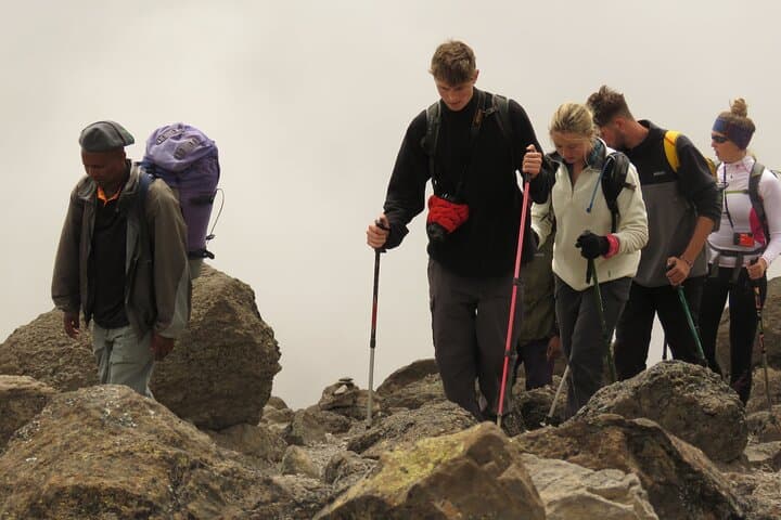 6-Day Lemosho Route Kilimanjaro Climb — Guided Summit to Uhuru Peak photo 4