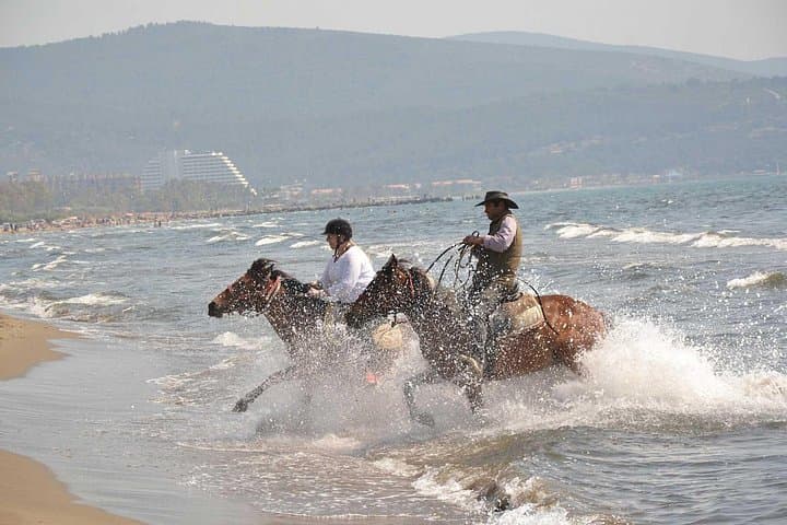 Saddle Up from Kusadasi Port: Coastal Horseback Safari through Olive Groves & Beaches photo 1