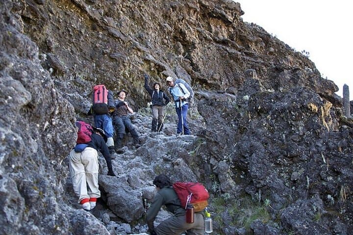 9-Day Northern Circuit Kilimanjaro Climb: Longer Route, Better Acclimatization photo 3