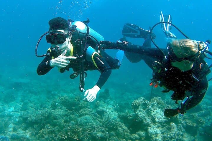 Try Scuba Diving in Pula: Beginner House-Reef Dives on Verudela Peninsula photo 6