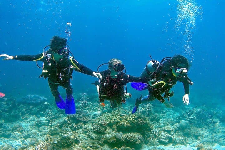 Introductory Scuba Diving in Pula — Try Scuba at Verudela Beach photo 3