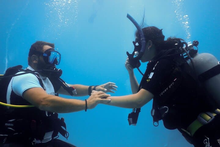 SSI Open Water Diver Course in Pula — Learn to Dive in the Adriatic photo 5