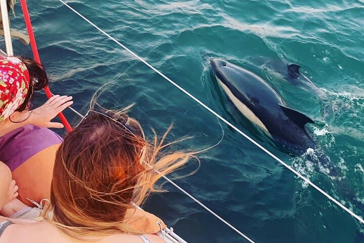 Lisbon 2-Hour Sailing Cruise with Wine — Scenic Tagus Harbor Tour photo 3