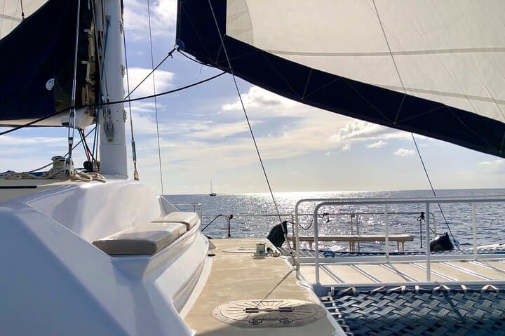 Waikiki Swim and Sail: Moana Catamaran Cocktail Cruise photo 4