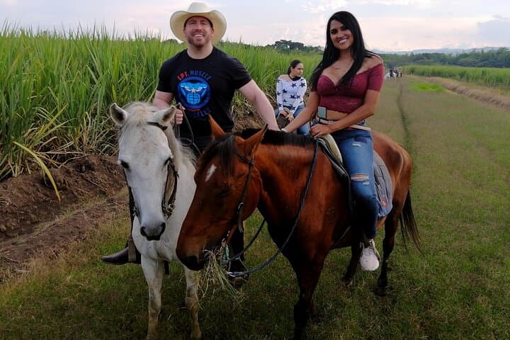 Horseback Riding Near Cali: Cloud-Forest Trails & Sugarcane Gallops