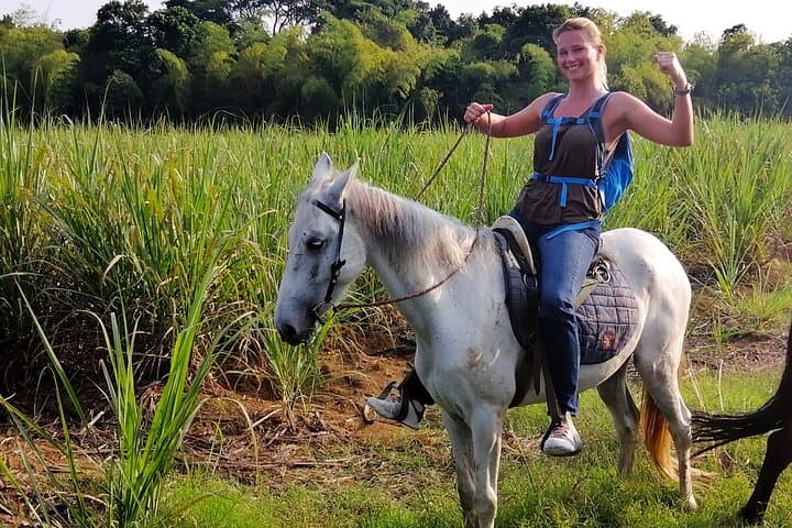 Horseback Riding Near Cali: Cloud-Forest Trails & Sugarcane Gallops photo 3
