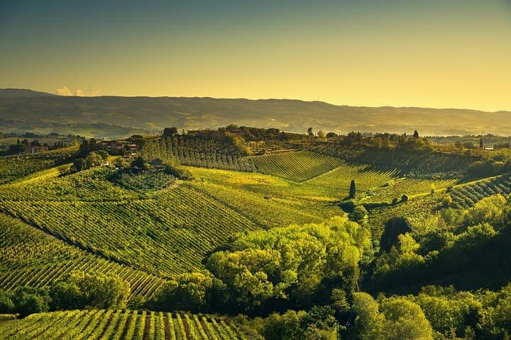Private Tuscany Day Tour: Siena, Pisa & San Gimignano from Montecatini photo 2