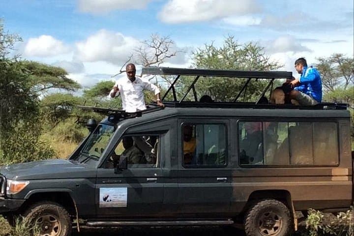 Mwanza to Serengeti: 2-Day Safari with Full-Day Game Drives photo 4