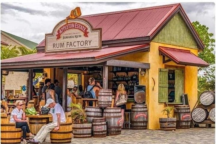 YS Falls and Appleton Estate Rum Tour from Montego Bay — Waterfalls, Tastings & Private Transport
