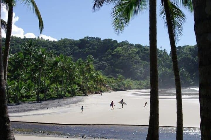 Itacaré Surfing & Chocolate: 7-Day Private Bahia Beach and Cocoa-Farm Adventure photo 2