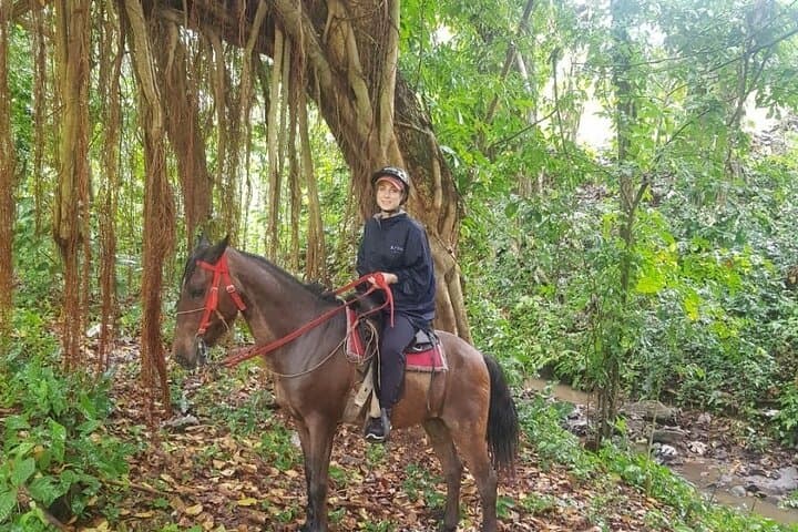 Dominican Horseback Riding Adventure on a Working Cattle Ranch