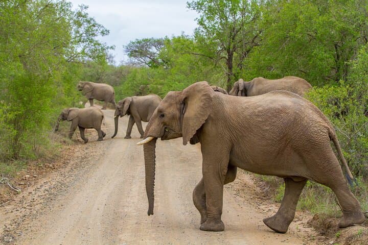 Sunset Safari in iSimangaliso: Eastern Shores Game Drive from St Lucia photo 4