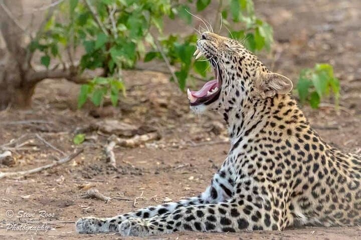 4-Day Tarangire, Serengeti & Ngorongoro Safari from Arusha photo 2