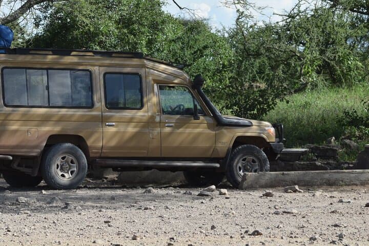 4-Day Tarangire, Serengeti & Ngorongoro Safari from Arusha photo 4