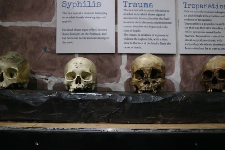 Sick to Death Chester: Self-Guided History of Medicine Experience photo 6